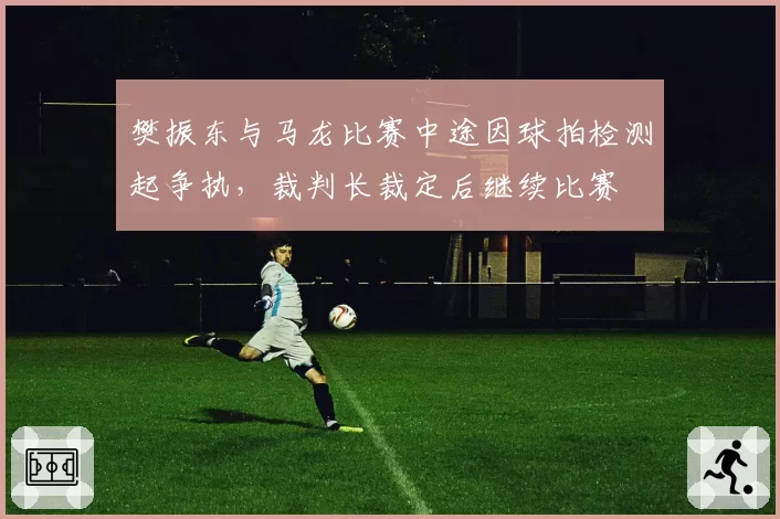 樊振东与马龙比赛中途因球拍检测起争执,裁判长裁定后继续比赛