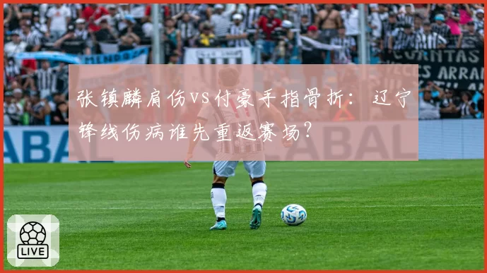 张镇麟肩伤vs付豪手指骨折：辽宁锋线伤病谁先重返赛场？