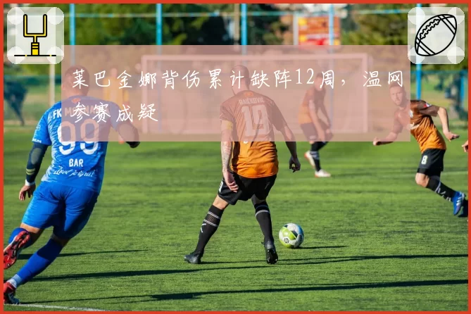 莱巴金娜背伤累计缺阵12周，温网参赛成疑