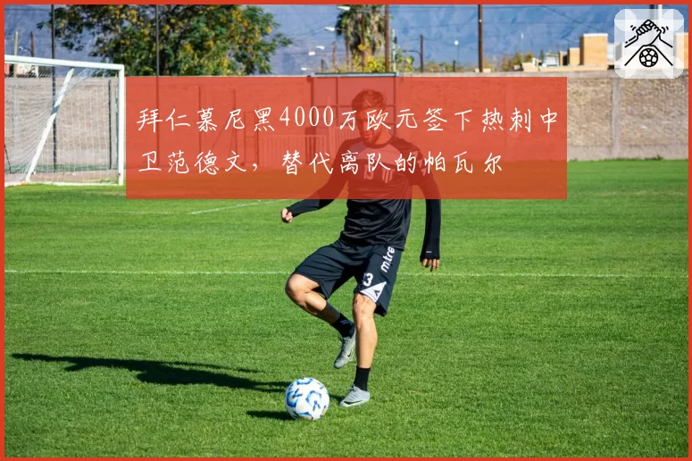 拜仁慕尼黑4000万欧元签下热刺中卫范德文,替代离队的帕瓦尔