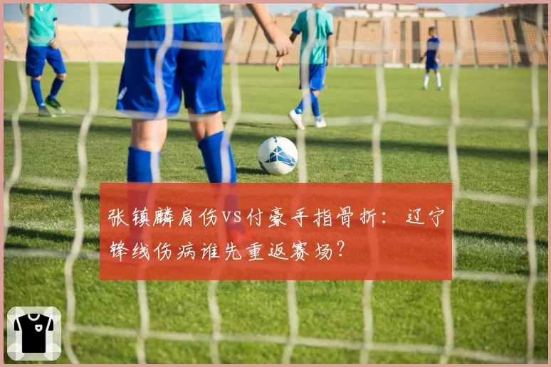 张镇麟肩伤vs付豪手指骨折：辽宁锋线伤病谁先重返赛场？
